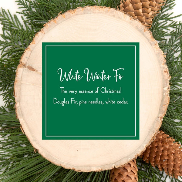Scentsicle-White Winter Fir