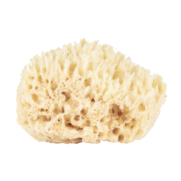 Small Wool Bath Sponge by Baudelaire