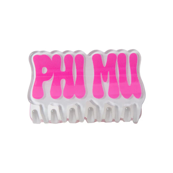 Retro Hair Clip- Phi Mu